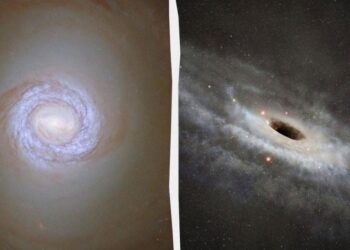 Milžiniška galaktika pražudyta savo juodosios skylės: mokslininkai atskleidė šokiruojančias detales