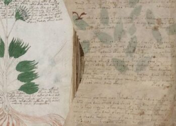 Mįslinga Voiničiaus rankraščio paslaptis: mokslininkai spėja atskleidę viduramžių šifrą