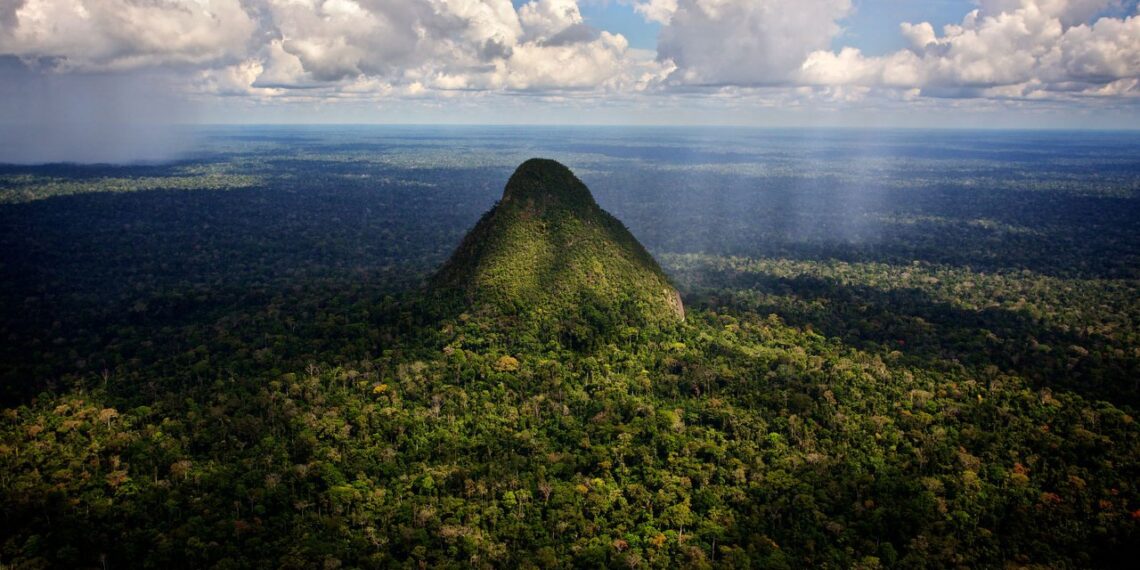 Mistinė piramidė džiunglių glūdumoje: ar Amazonės kalnas slepia prarastą civilizaciją?