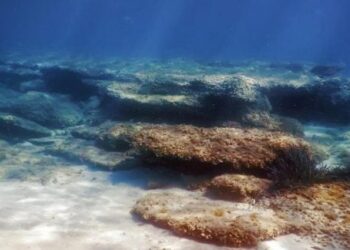 Mokslininkai 10 metų slapta stebėjo vandenyno dugną – tai, ką išvydo, kelia šiurpą visam pasauliui