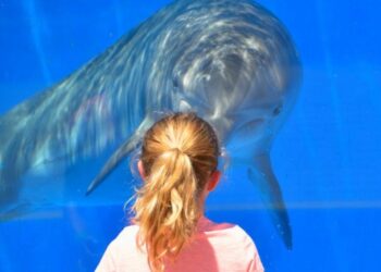 Mokslininkai apstulbę: kai kurie gyvūnai tarpusavyje vartoja tikrus vardus kaip žmonės