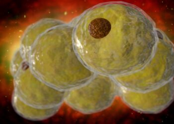 Mokslininkai atrado epigenetinį jungiklį: naujas būdas pristabdyti riebalų ląstelių gamybą ir storėjimą