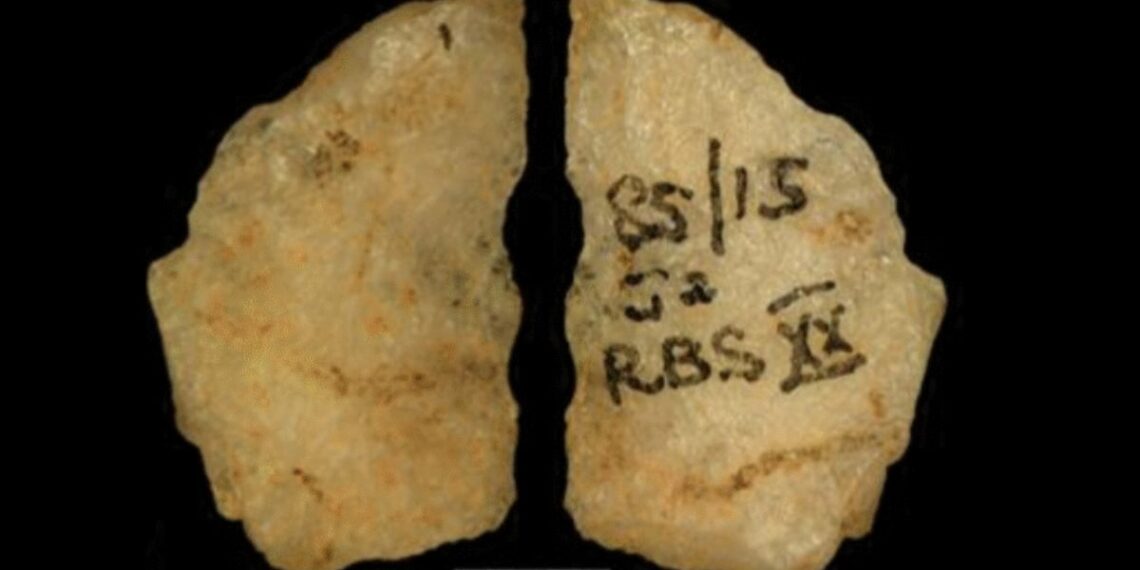 Mokslininkai atskleidė: 60 tūkst. metų senumo relikvijos įrodo pirmųjų nuodingų strėlių naudojimą