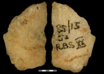 Mokslininkai atskleidė: 60 tūkst. metų senumo relikvijos įrodo pirmųjų nuodingų strėlių naudojimą