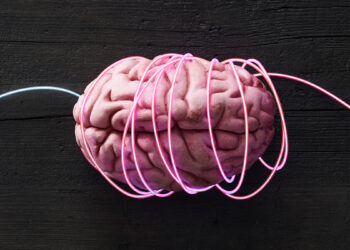 Mokslininkai kuria „mini smegenis“: atskleistas paslėptas šizofrenijos ir bipolinio sutrikimo kodas