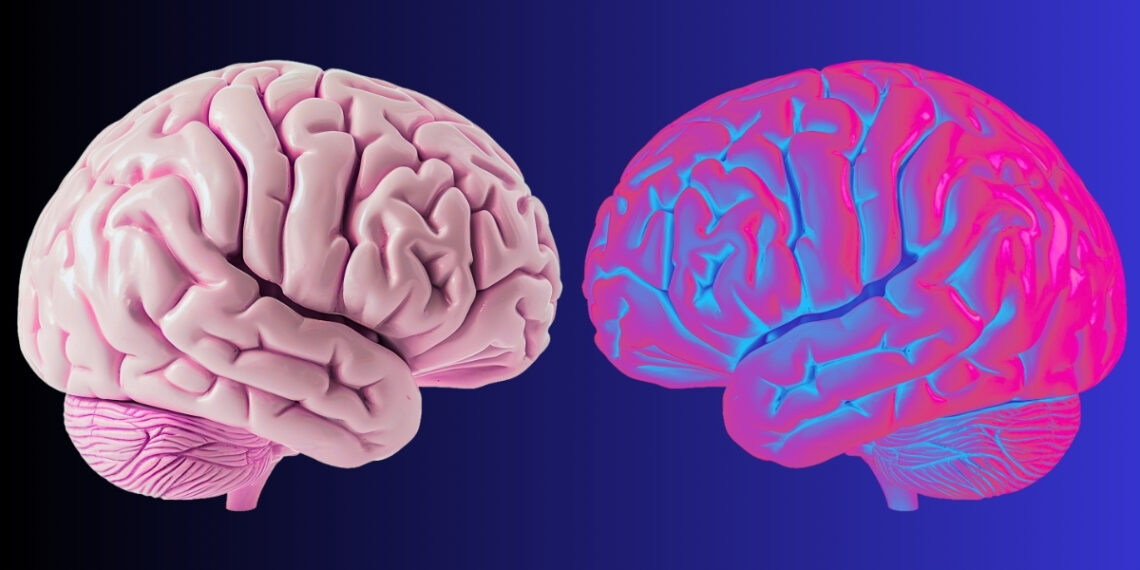 Mokslininkai nustatė smegenų bangas, kurios tiksliai apibrėžia, kur baigiasi tavo ribos