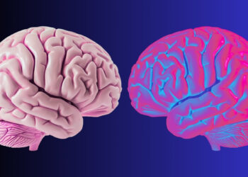 Mokslininkai nustatė smegenų bangas, kurios tiksliai apibrėžia, kur baigiasi tavo ribos