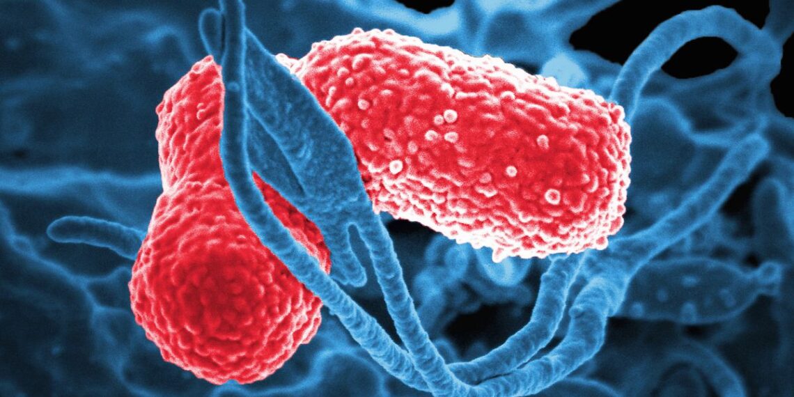 Mokslininkai nustatė stulbinančią priežastį, kodėl kai kurie žmonės pasigeria net neliesdami alkoholio