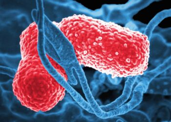 Mokslininkai nustatė stulbinančią priežastį, kodėl kai kurie žmonės pasigeria net neliesdami alkoholio