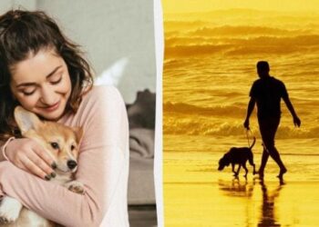 Mokslininkai nustebę: paaiškėjo, kuris gyvūnas žmones supranta net be žodžių ir gestų