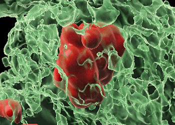 Mokslininkai pribloškė: kūnas prikelia mirčiai pasmerktas ląsteles ir atskleidžia 50 metų paslaptį
