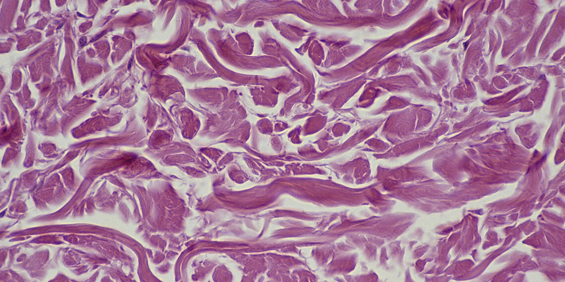 Mokslininkai šokiravo pasaulį: atrado stebuklingą būdą, galintį atjauninti senstančias ląsteles