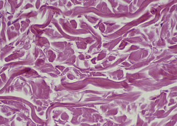 Mokslininkai šokiravo pasaulį: atrado stebuklingą būdą, galintį atjauninti senstančias ląsteles
