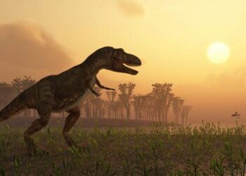 Mokslininkai šokiruoti: Australijoje aptikta didžiausia dinozaurų pėdsakų kolekcija kuri atskleidžia neįtikėtinas paslaptis