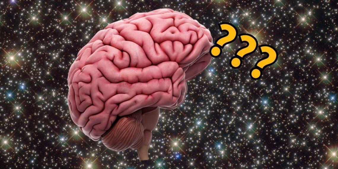 Mokslininkai šokiruoti: grįžę iš kosmoso astronautai rado negrįžtamai pasikeitusias smegenis