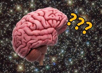 Mokslininkai šokiruoti: grįžę iš kosmoso astronautai rado negrįžtamai pasikeitusias smegenis