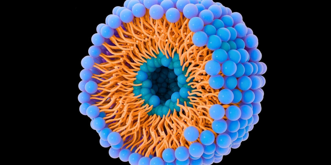 Mokslininkai šokiruoti: mikroskopiniai burbuliukai padeda vėžiui plisti, bet gali jį ir sustabdyti