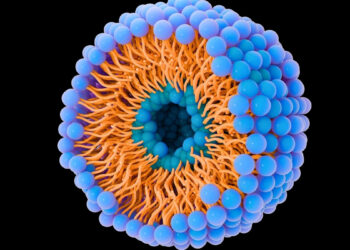 Mokslininkai šokiruoti: mikroskopiniai burbuliukai padeda vėžiui plisti, bet gali jį ir sustabdyti