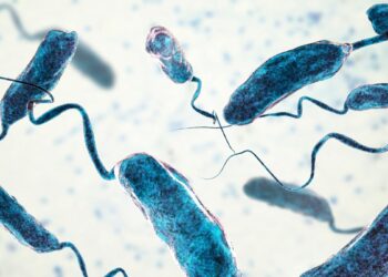 Mokslininkai šokiruoti: paprasta dietos korekcija netikėtai sutriuškina cholerą?