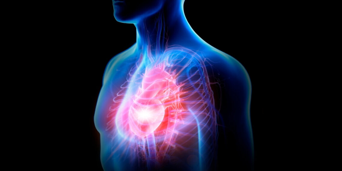 Mokslininkai šokiruoti: po infarkto širdis vis dėlto gali atsinaujinti – štai kas tai įrodo