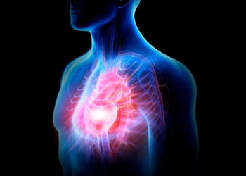 Mokslininkai šokiruoti: po infarkto širdis vis dėlto gali atsinaujinti – štai kas tai įrodo