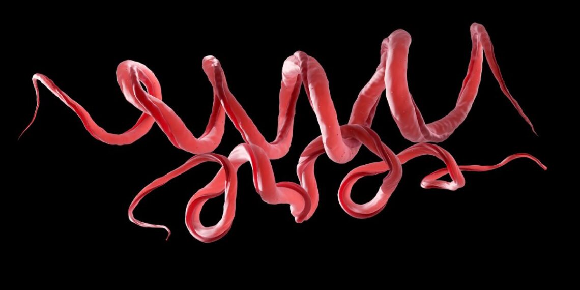 Mokslininkai šokiruoti: senovės DNR atskleidė kraupią sifilio kilmę prieš 5500 metų