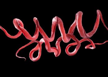 Mokslininkai šokiruoti: senovės DNR atskleidė kraupią sifilio kilmę prieš 5500 metų