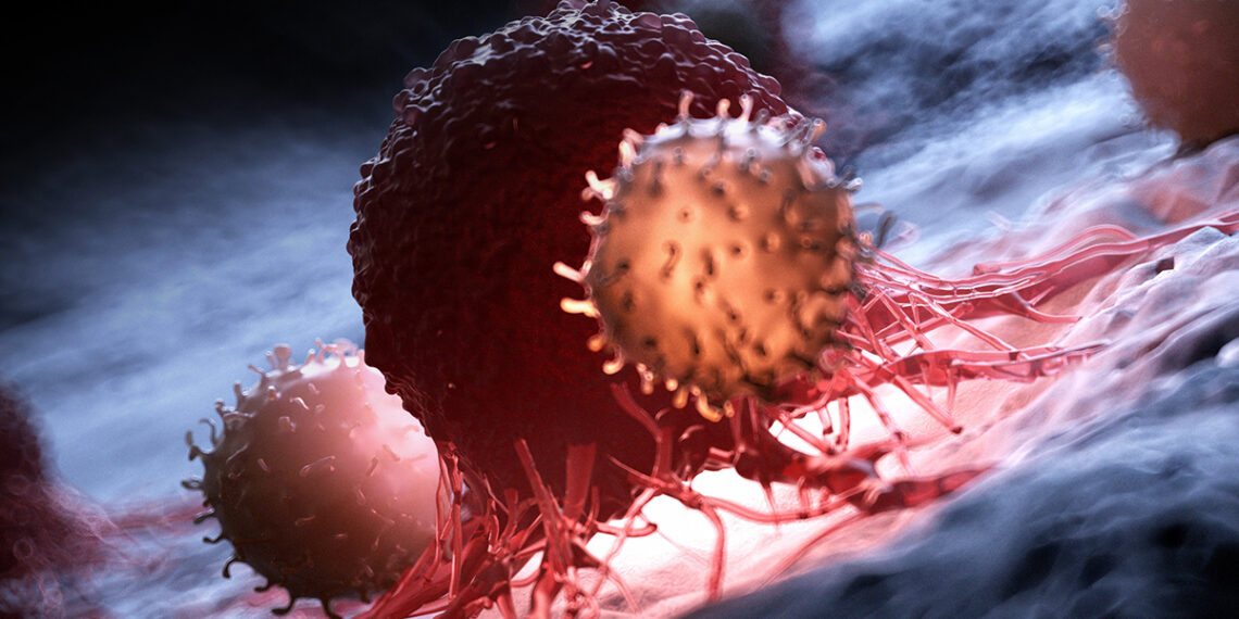 Mokslininkai šokiruoti: užblokavus vos vieną baltymą, vėžio auglys pelėse tiesiog sustojo
