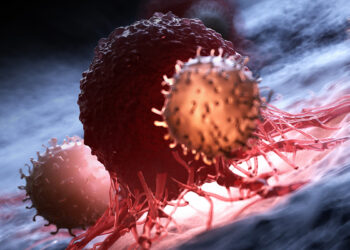 Mokslininkai šokiruoti: užblokavus vos vieną baltymą, vėžio auglys pelėse tiesiog sustojo