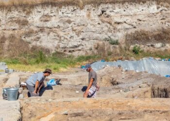 Mokslininkus pritrenkė 500 tūkst. metų senumo radinys: atkasė įrankį, kurio niekas nesitikėjo