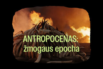 Nacionalinėje bibliotekoje atskleidžiama šokiruojanti „Antropoceno“ tiesa: ką žmogus padarė Žemei?