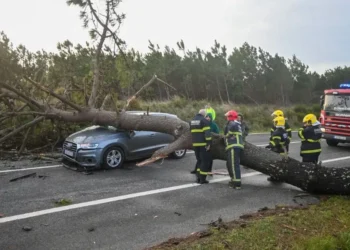 Naktinis siaubas Portugalijoje: praūžęs ciklonas paliko pusę šalies be elektros