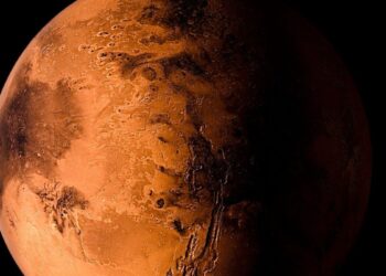 NASA sensacija: superatsparios bakterijos išgyvena viską – net kelionę į Marsą!