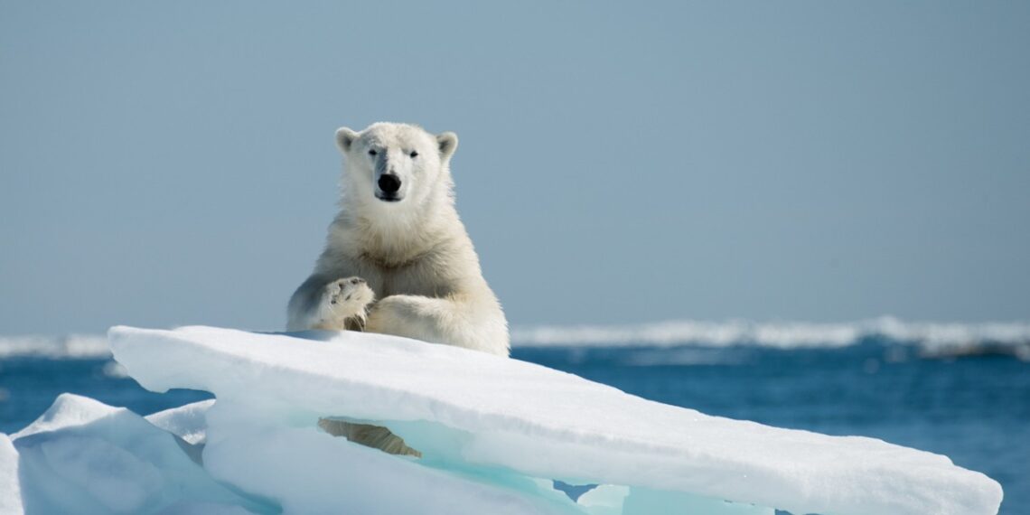 NATO ir Didžioji Britanija traukia kariuomenę į Arktį: ar čia prasidės naujas karas?
