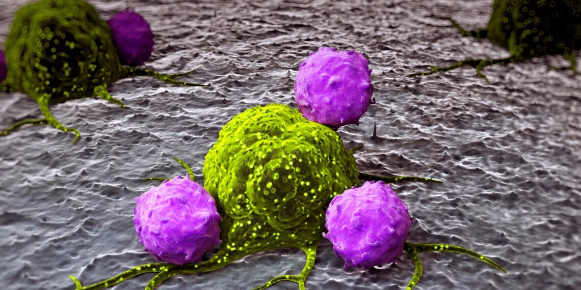 Naujas antikūnis „perjungia“ imunitetą į kovinį režimą: proveržis gydant agresyvų krūties vėžį