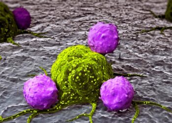 Naujas antikūnis „perjungia“ imunitetą į kovinį režimą: proveržis gydant agresyvų krūties vėžį