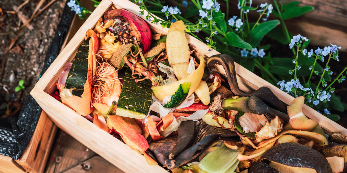 Neišmesk avokado žievės į kompostą, kol nepadarysi šio veiksmo