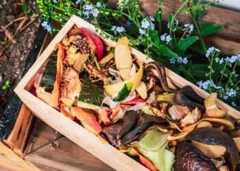 Neišmesk avokado žievės į kompostą, kol nepadarysi šio veiksmo