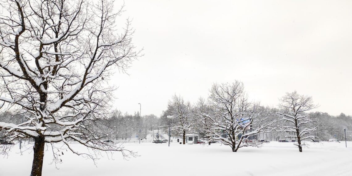 Neteikėsite, kurie miestai ir rajonai labiausiai nukentėjo nuo netikėto sniego antpuolio: draudikų išvados