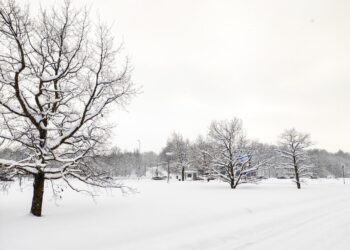 Neteikėsite, kurie miestai ir rajonai labiausiai nukentėjo nuo netikėto sniego antpuolio: draudikų išvados
