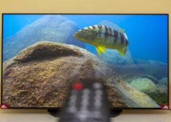 OLED televizorių patikimumo skandalas: štai ką nutyli gamintojai ir atvirai pasakoja vartotojai