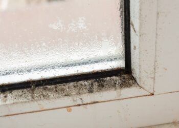 Pakabink šiuos maišelius ant užuolaidų laikiklio – paprastas triukas naikina drėgmę, pelėsį ir slogų kvapą