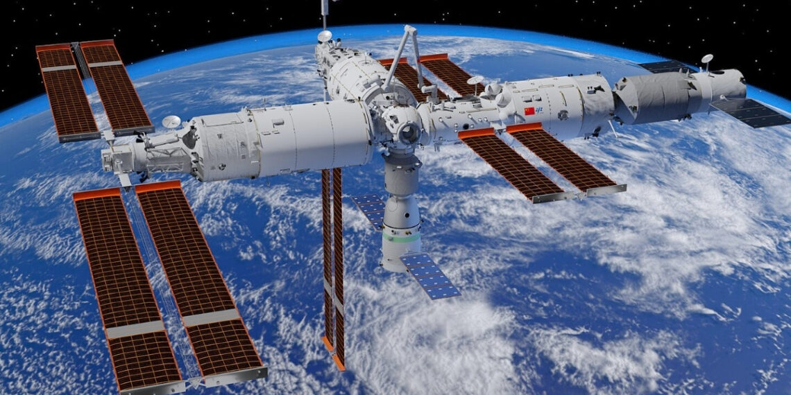 Pelė atsivedė jauniklių po kelionės į kosmosą: mokslininkai priblokšti netikėto atradimo