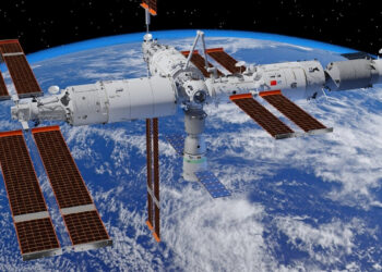 Pelė atsivedė jauniklių po kelionės į kosmosą: mokslininkai priblokšti netikėto atradimo