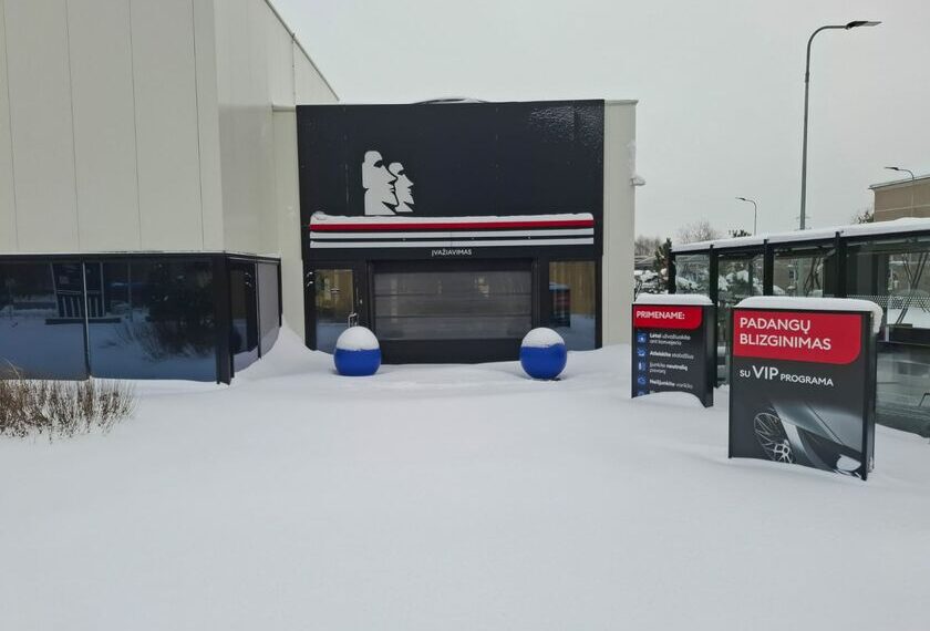 Pelningą auksinę gyslą žadėjęs verslas virto milijonine skylė biudžete: kur dingo pinigai?