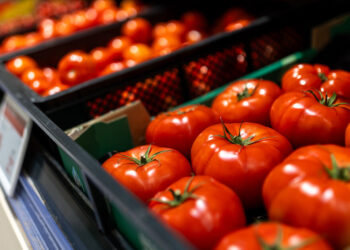 Pirmieji lietuviški pomidorai užplūdo parduotuves: šefas atskleidė 7 neįtikėtinai gardžius receptus