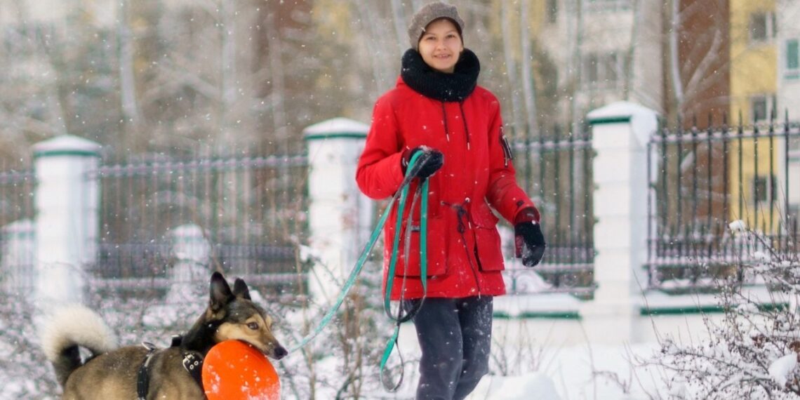 Šunys ant ledo ir nervų kramtymas: kodėl žiema šunų šeimininkams tampa košmaru