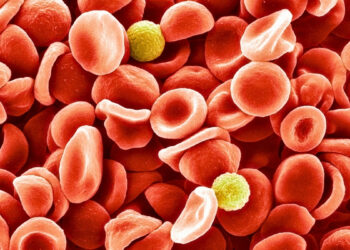 Po 50 metų atskleista šokiruojanti tiesa: mokslininkai aptiko naują, mirtinai pavojingą kraujo grupę