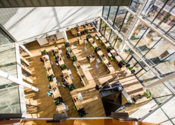 QS Europos reitingas: VDU trijose kategorijose nurungė visus Lietuvos universitetus – štai kaip