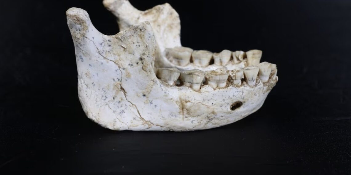 Sensacija Afrikoje: rasta 773 tūkst. metų senumo hominino kaukolė perrašo žmonijos istoriją